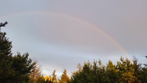 Friday afternoon rainbow over The Capes (photo courtesy of Jenny Green)